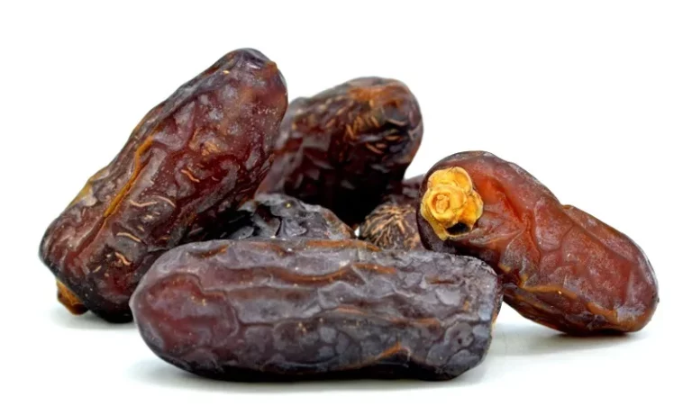 kurma supplier